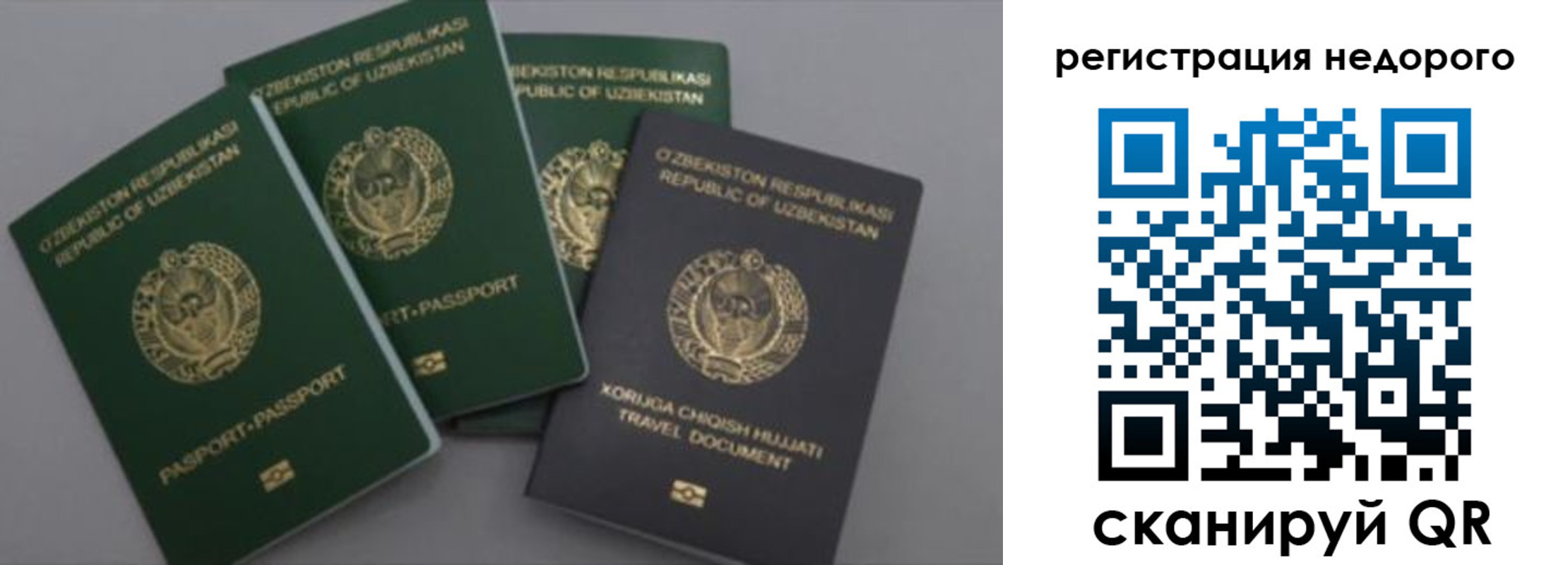 пропишу в квартире в Полярном