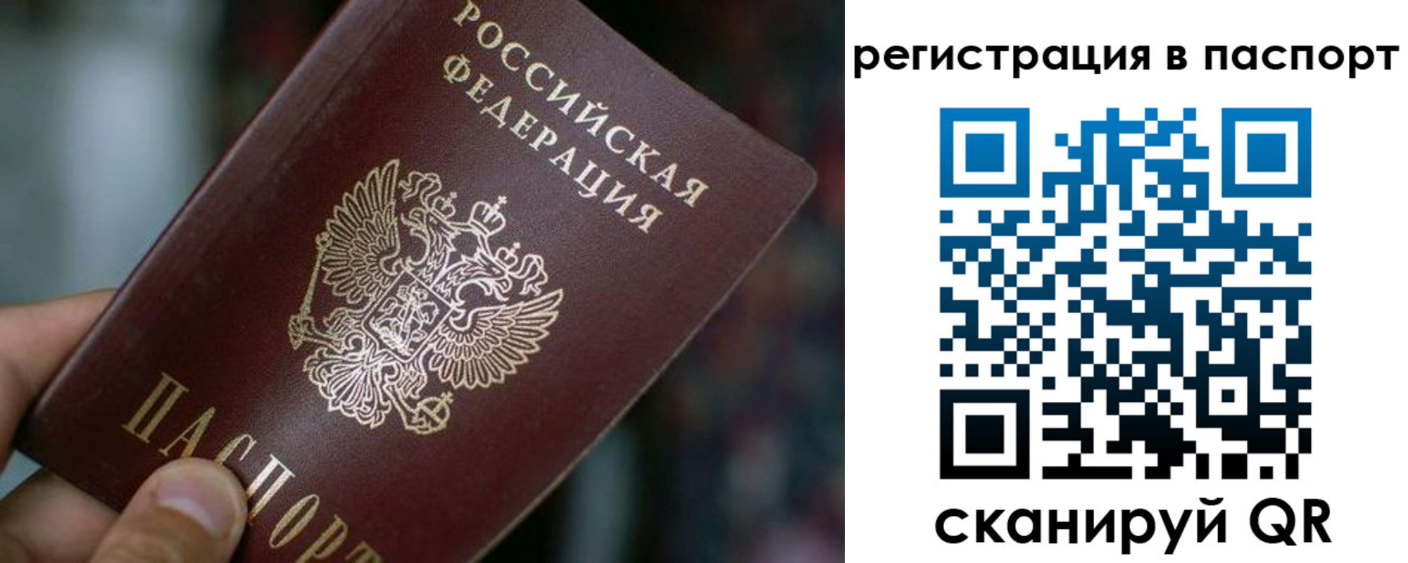 временная регистрация недорого в Полярном